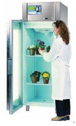 Hotcold GL型光照植物